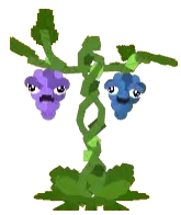 Grape icon